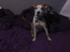 Jezzebelle_is_getting_big!