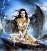 LOOKING_FOR_A_SPECIAL_FALLEN_ANGEL