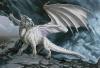 My_white_dragon_form