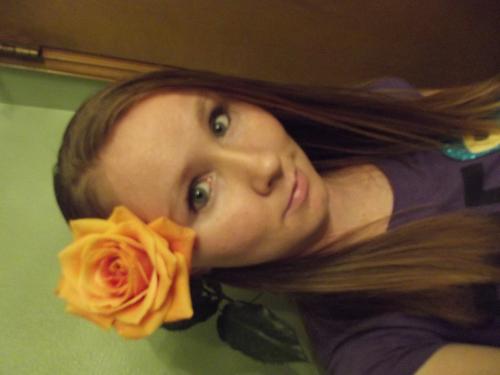 <img500*375:stuff/Rose.jpg>