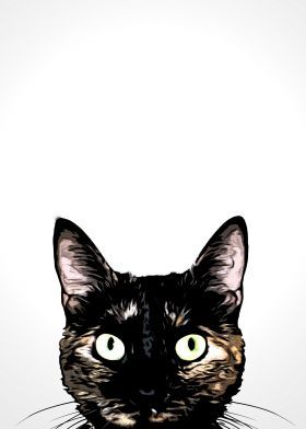 <img:stuff/aj/9841/1555607309.jpg>